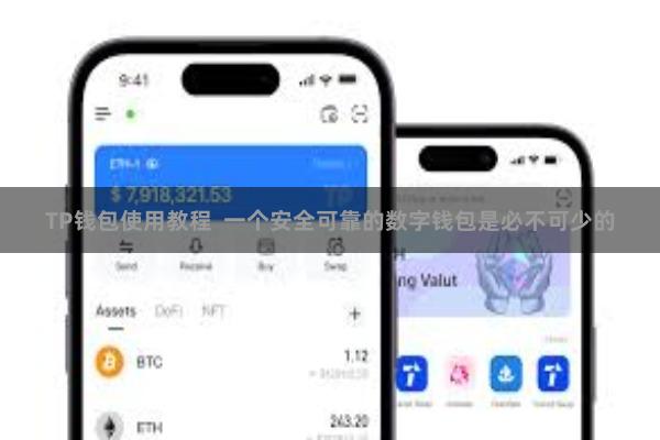 TP钱包使用教程  一个安全可靠的数字钱包是必不可少的